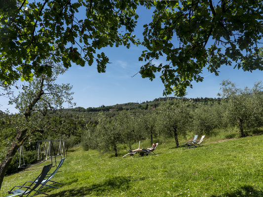 PIC NIC con ingresso serale in piscina - Calici di Stelle